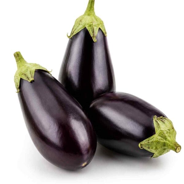 Aubergine