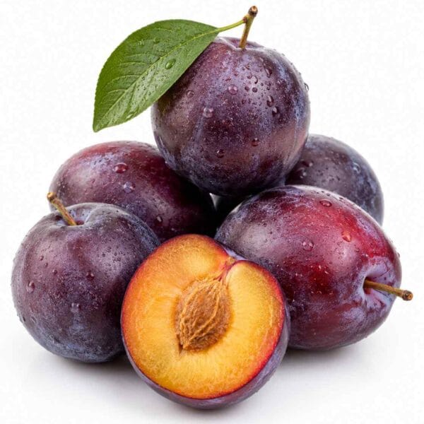Plum