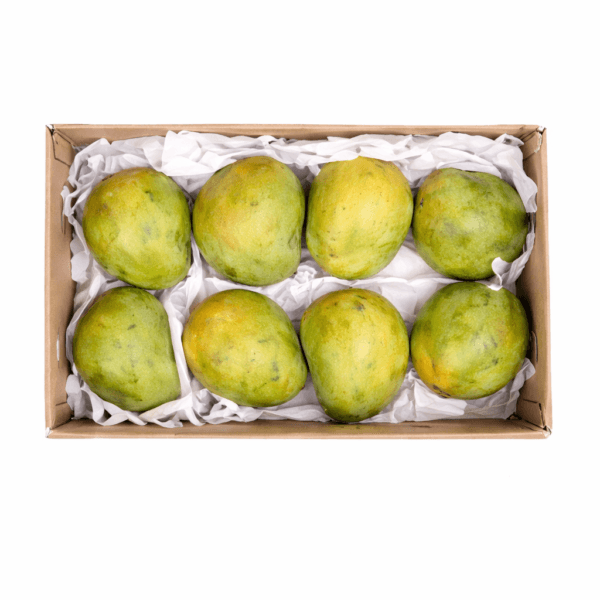 Malgova Mangoes