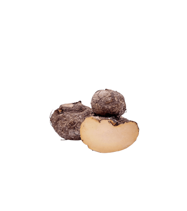 Elephant Yam (Suran)