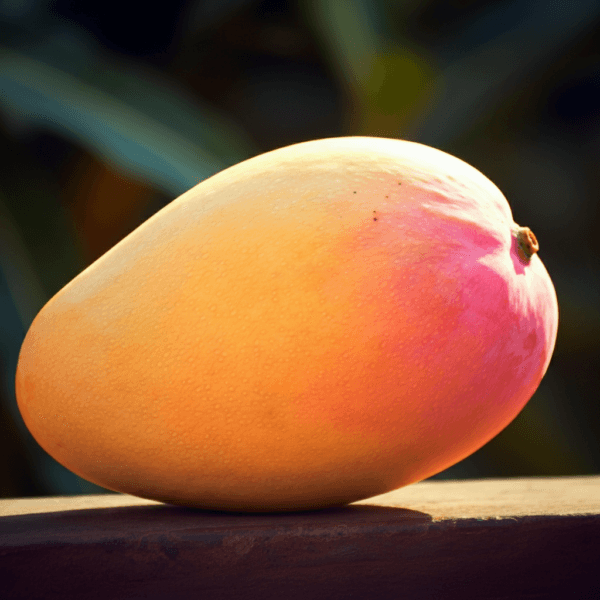 Mango Badami