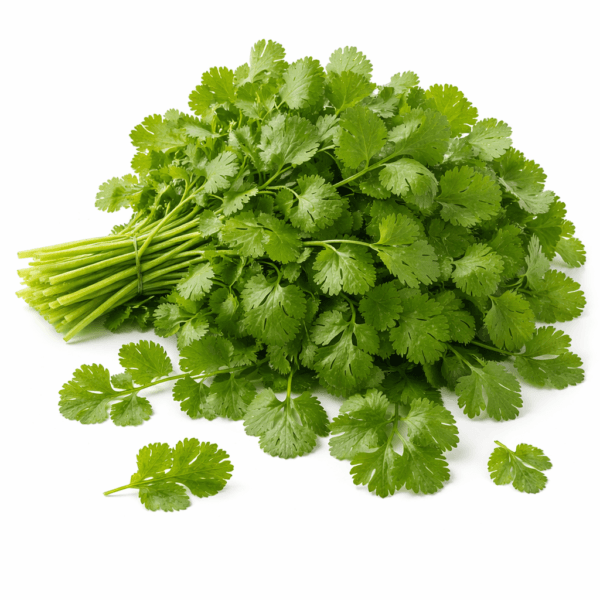 Coriander Leaves loose