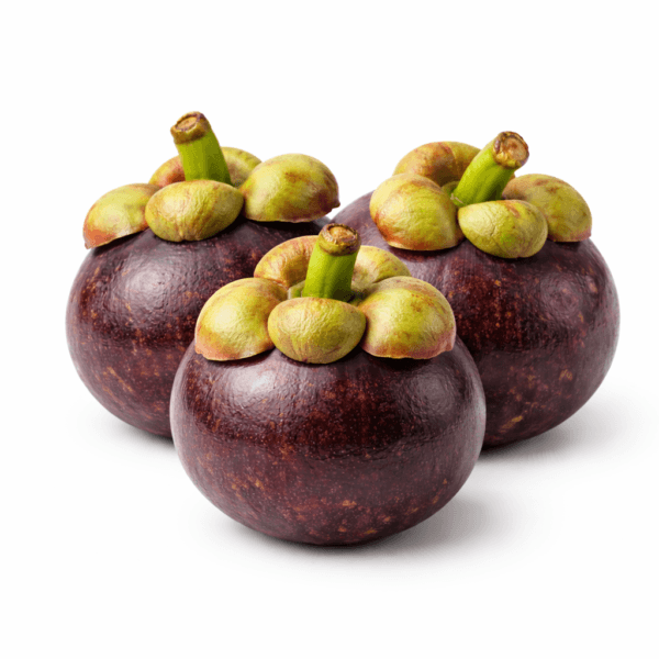 Mangosteen