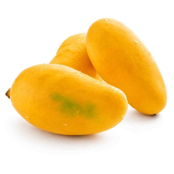 Mango White Chaunsa