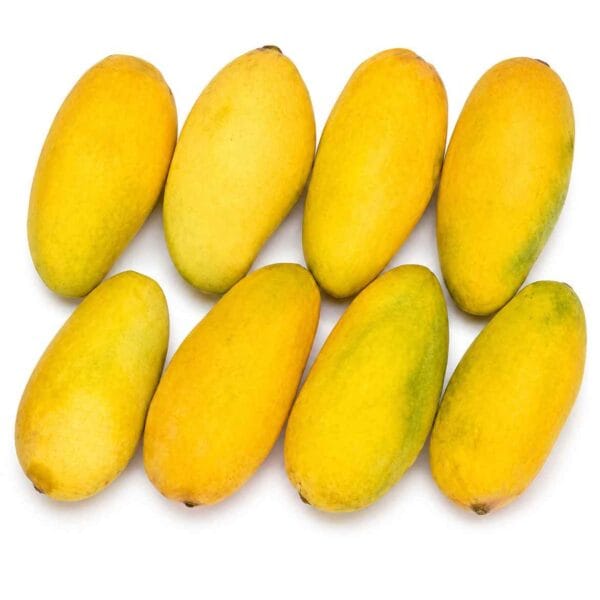 Mango Sindhri