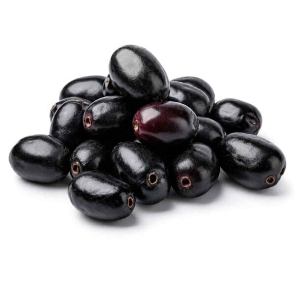 Black Jamun, jamnu