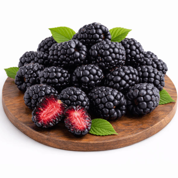 Blackberry