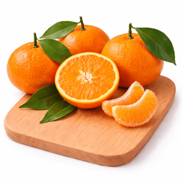 Mandarin Small Egypt