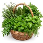 Leaf's & Herbs